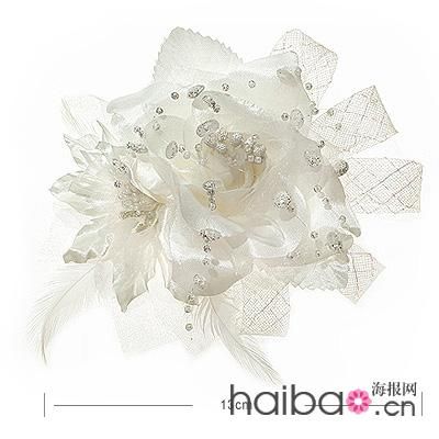 圖像 “http://www.mabellelife.com/mbl/images/product/large/B04753Y.jpg” 因其本身有錯(cuò)無法顯示。