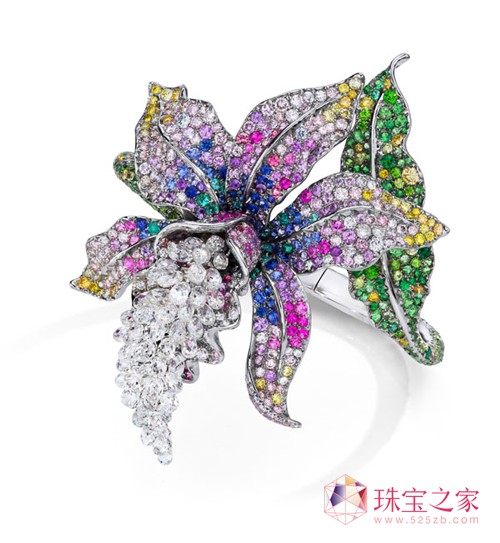 Anna Hu ״΂(g)ˇ(gu)H錚չڰRm_(ki)Ļ