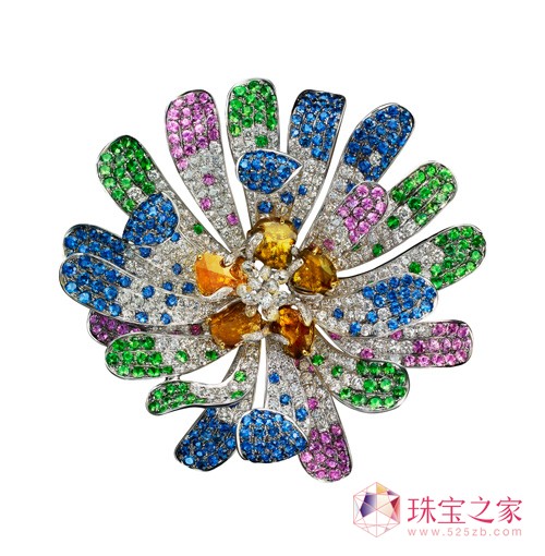 FANCYCD피Ӣ錚 錚O(sh)Ӌ͌ʯ֮